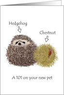 101 on a New Pet Hedgehog Cute Hedgehog and Chestnut card