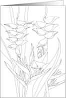 Thinking of You Heliconia Flowers and Foliage Coloring card