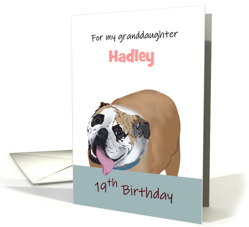 Granddaugther's 19th Birthday Funny Bulldog Custom card (1639860)