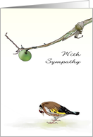Sympathy Sketch of European Goldfinch Apple on Overhead Branch card