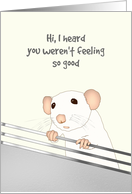 Get Well for Kids Pet Rat Looking Concerned card