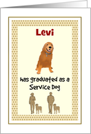 Service Dog Graduation Golden Retriever Custom card