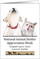 Animal Shelter Appreciation Week Support your Local Animal Shelter card