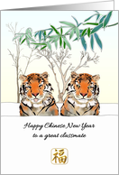Chinese New Year for Classmate Tigers Having Fun in the Snow card