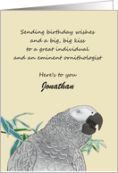 African Grey Parrot with Custom Birthday Greeting for Ornithologist card