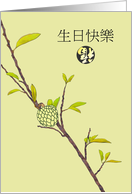 Birthday Greeting in Chinese Custard Apple on Branch card