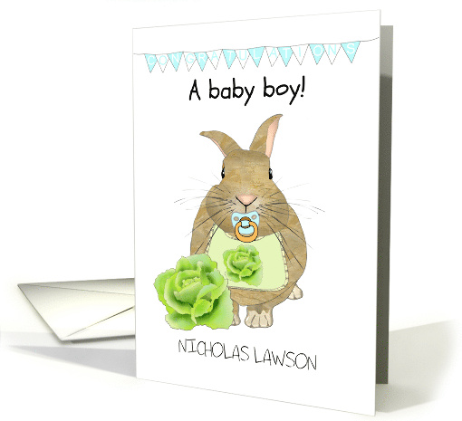 New Baby Boy Cute Baby Rabbit With Pacifier and Bib... (1740202)