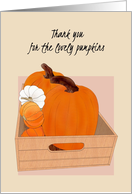 Thank You For Pumpkins Lovely Pumpkins In Wooden Box card
