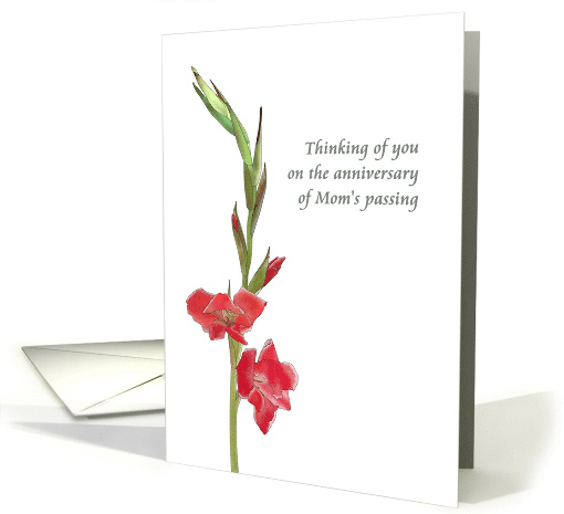 Anniversary Mom's Passing Sibling to Sibling Red Gladioli Flowers card