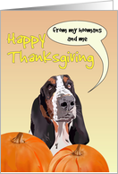 Thanksgiving from Basset Hound Pet Dog and Hoomans card