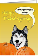 Thanksgiving from Husky Pet Dog and Hoomans card