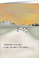 1st New Year New Home in Country Sheep Walking Down Icy Lane card