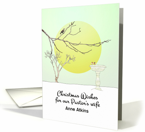 Christmas for Pastor's Wife Birds Perched on Branch and BIrd Bath card