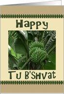 Tu B’Shvat Bananas On The Tree card