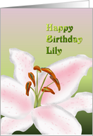 Birthday for Lily Sketch Of A Stargazer Lily card