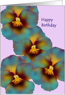 Birthday For Sorority Sister Blue And Yellow Pansies card