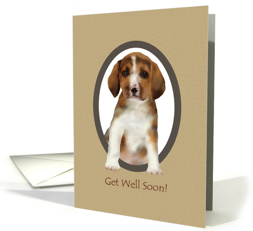 Get Well Soon Cute Beagle card (936665)