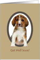 Get Well Soon Cute Beagle card