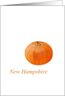 New Hampshire Pumpkin State Fruit Symbol Blank card