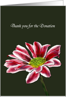 Thank You for Your Donation in Memory Of Daisy Flower card