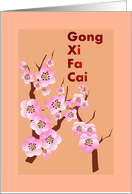 Chinese New Year Pink Plum Blossoms Gong Xi Fa Cai card