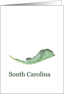 South Carolina Collard Greens State Vegetable Blank card