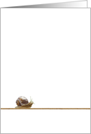 Snail Moving Along Blank card