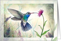 Hummingbird Watercolor All Occasion Blank card