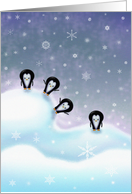 Penguin Christmas Card - Penguins Having Fun card