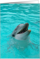 Playful Dolphin card
