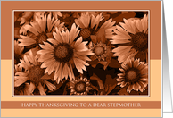 Happy Thanksgiving for Stepmother - Orange Blanket Flowers card