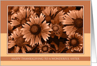 Happy Thanksgiving for Sister - Orange Blanket Flowers card
