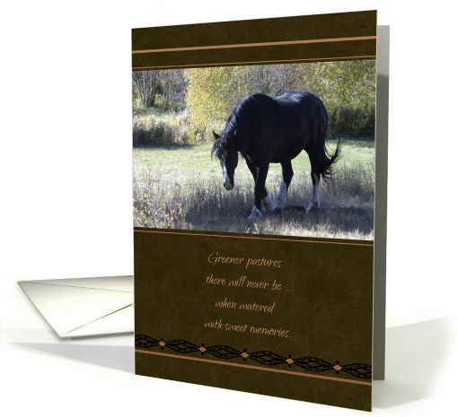 Pet Sympathy Loss of Horse card (1037717)