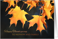 Thanksgiving for Nephew and Family - Golden Maple Leaves card