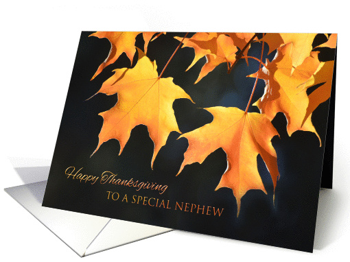 Thanksgiving for Nephew - Golden Maple Leaves card (1057037)