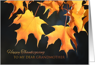 Thanksgiving for Grandmother - Golden Maple Leaves card