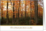 Thanksgiving to Sister in Law - Autumn Forest card