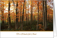 Thanksgiving to Aunt - Autumn Forest card