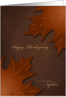 Thanksgiving to Nephew - Warm Autumn Leaves card