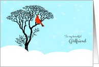 Christmas for Girlfriend - Red Cardinal in Tree card