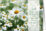 For Sister on Mother’s Day Field of Daisies card