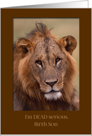 Happy Birthday for Birth Son - I’m Dead Serious Lion card