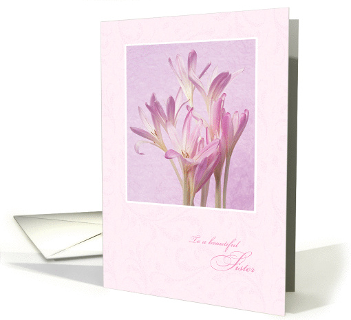 Mother's Day for Sister from Brother - Soft Pink Flowers card