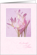 Mother’s Day for Sister from Brother - Soft Pink Flowers card