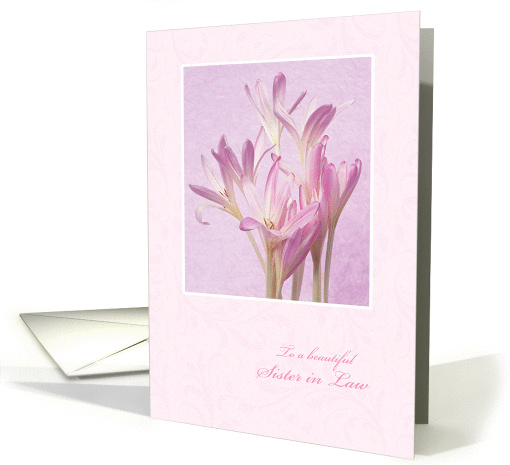 Mother's Day for Sister in Law - Soft Pink Flowers card (1242738)