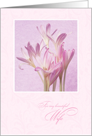 Mother’s Day for Wife - Soft Pink Flowers card