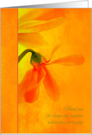 Thank You from Patient - Glowing Orange Flowers card