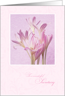 Birthday for Secretary ~ Soft Pink Flowers card