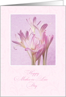 Happy Mother in Law Day from Daughter in Law ~ Soft Pink Flowers card