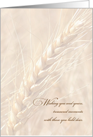 Thanksgiving Golden Wheat card